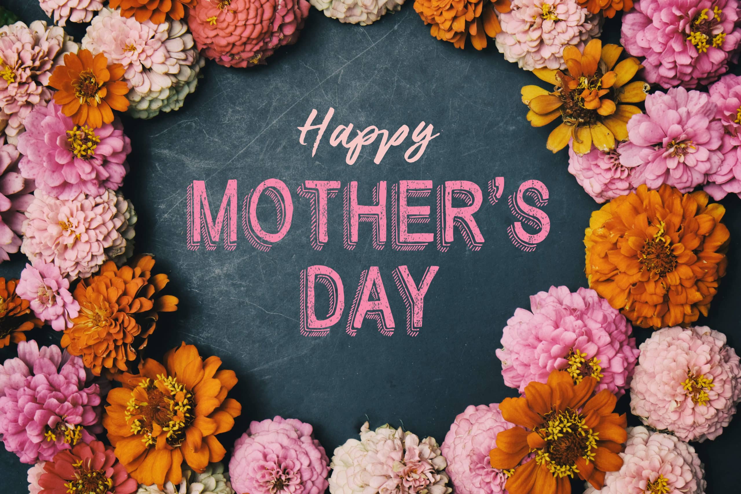 Adobestock 244836912 1 Scaled