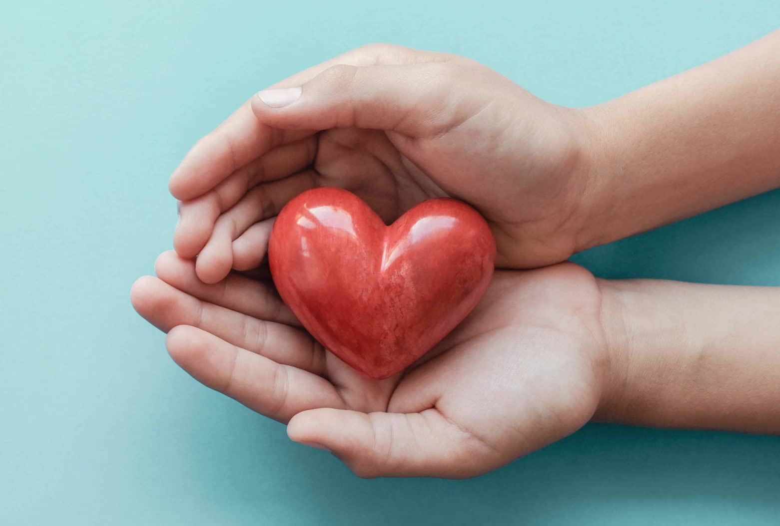 Adobestock 288050922 1 Scaled E1618582635889