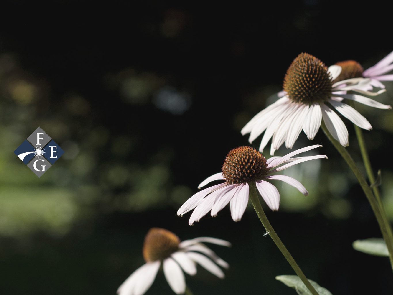 Article Img Feb 28 2 Pdf 1