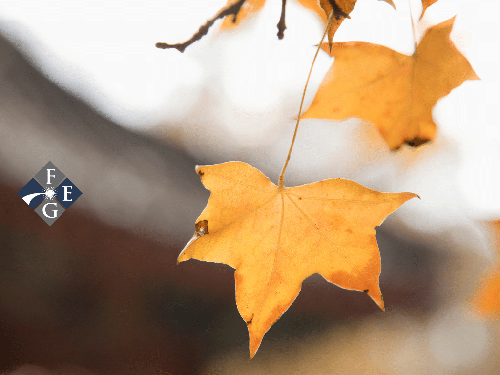 Article Img Feb 28 9