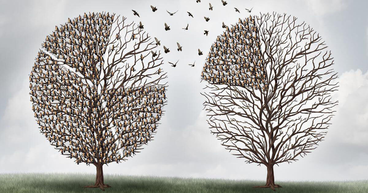 Intergenerational-Wealth-Transfer-1