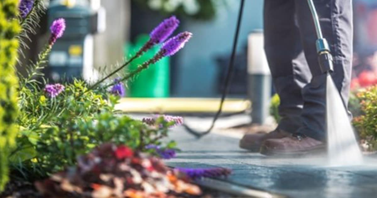 spring-into-financial-wellness-your-seasonal-guide